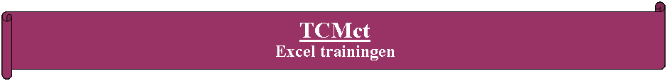 Rol: horizontaal: TCMct Excel trainingen