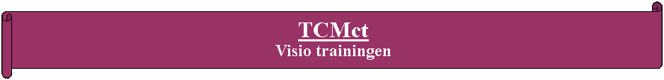 Rol: horizontaal: TCMct Visio trainingen